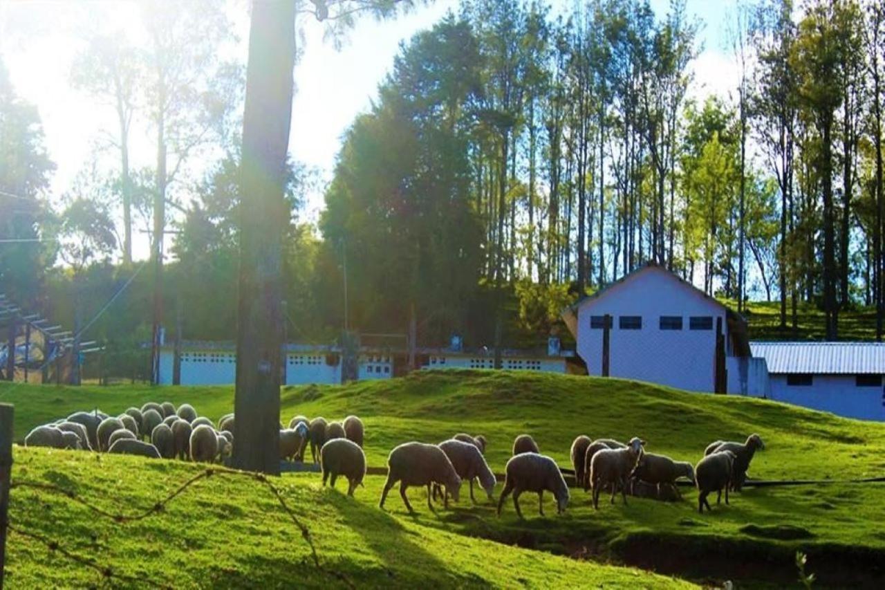 Blusalz Homes - One Lovedale, Ooty - Tamil Nadu Zewnętrze zdjęcie