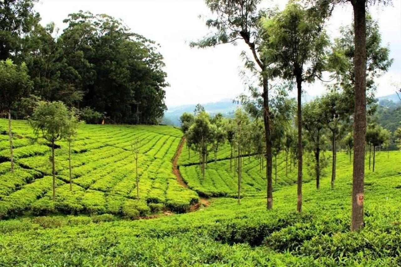 Blusalz Homes - One Lovedale, Ooty - Tamil Nadu Zewnętrze zdjęcie