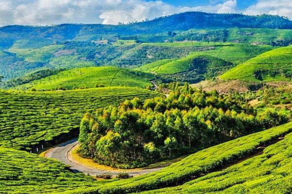 Blusalz Homes - One Lovedale, Ooty - Tamil Nadu Zewnętrze zdjęcie