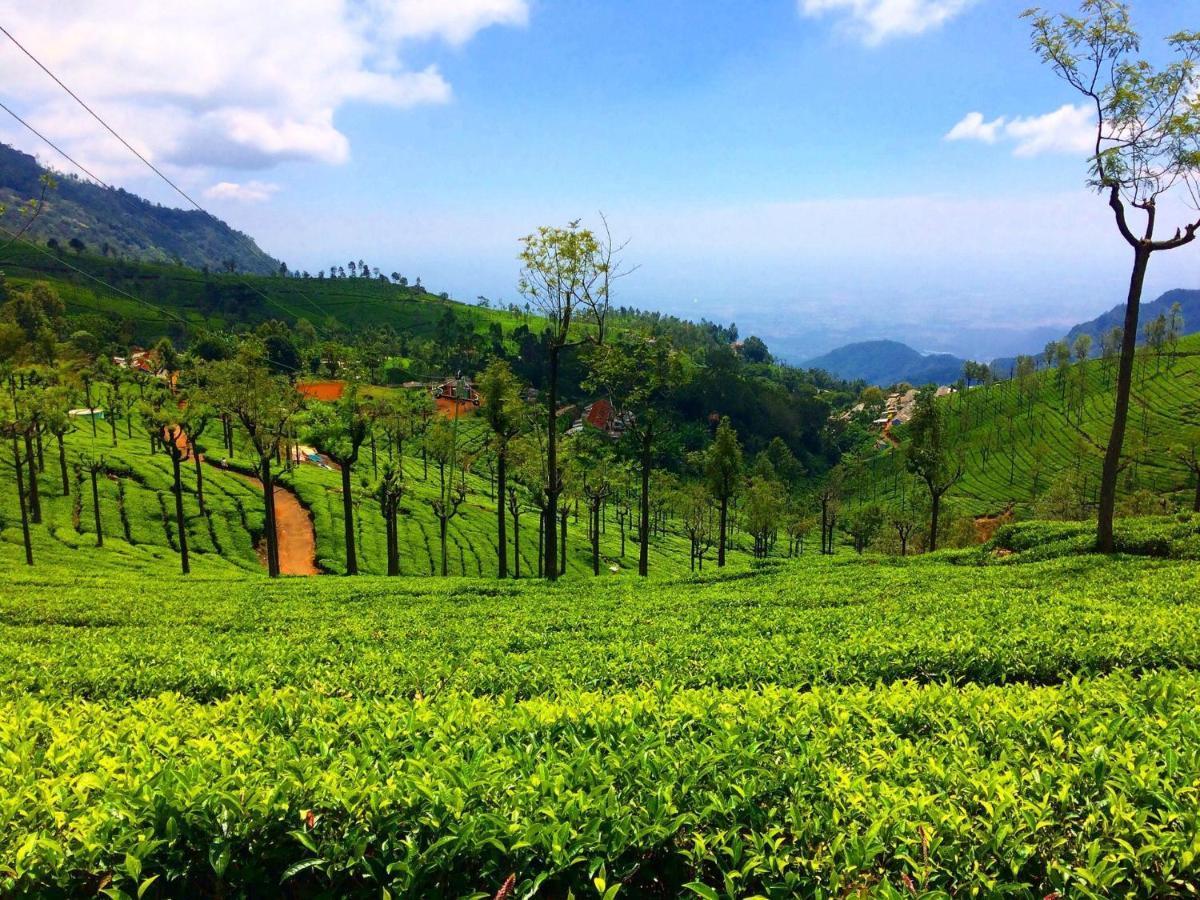 Blusalz Homes - One Lovedale, Ooty - Tamil Nadu Zewnętrze zdjęcie