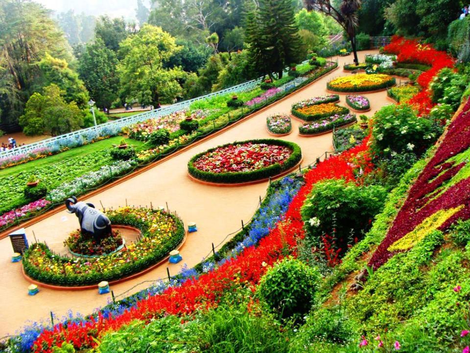 Blusalz Homes - One Lovedale, Ooty - Tamil Nadu Zewnętrze zdjęcie